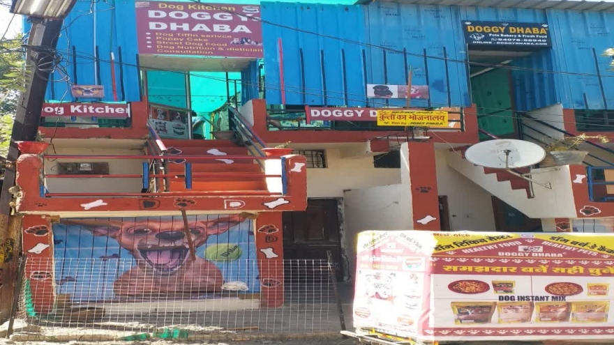Độc đáo quán ăn dành cho chó tại Ấn Độ
